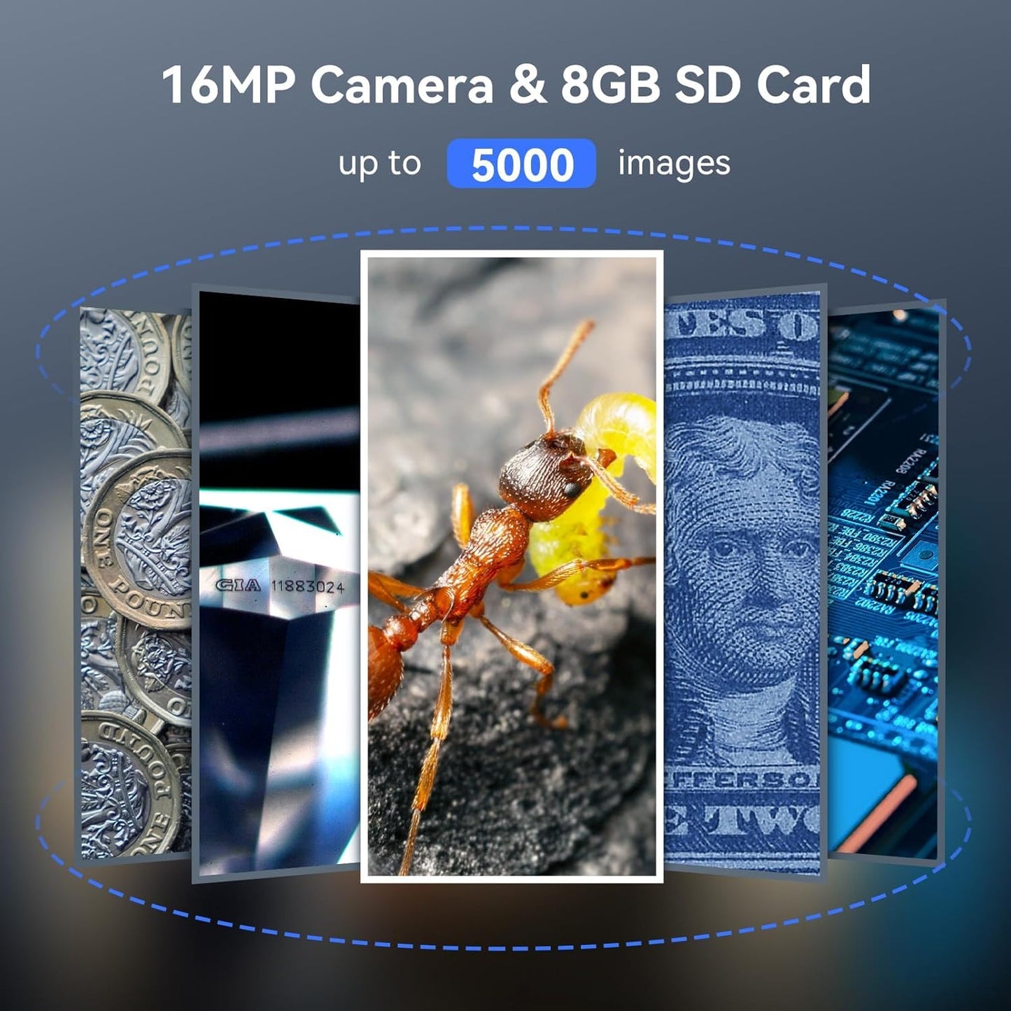 TOMLOV P10 Microscope for Adults Kids, Handheld Coin Magnifier with Light for Error Coins, Portable Trichome Magnifying Glass 100X, Collector Pocket Jewelers Loupe, Digital Microscope with 2" Screen